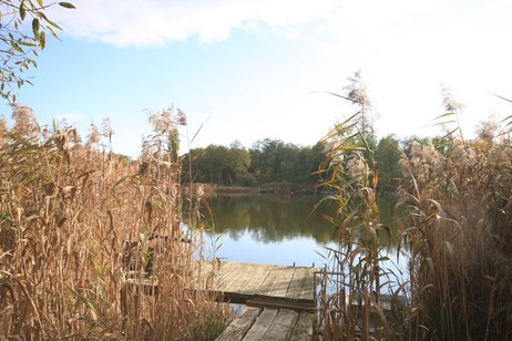 Bestlage Beethovenallee! Traumgrundstück in zweiter Reihe und in direkter Wald- und Seenähe