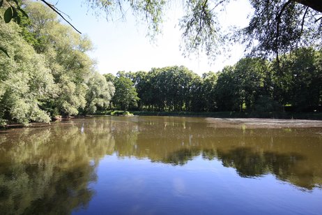 Bestlage Böcklinstraße -Traumgrundstück am Lindenweiher!