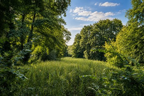 Hochkarätige Baugrundstücke in der Böcklinstraße direkt am Lindenweiher und im Herzen von Finkenkrug