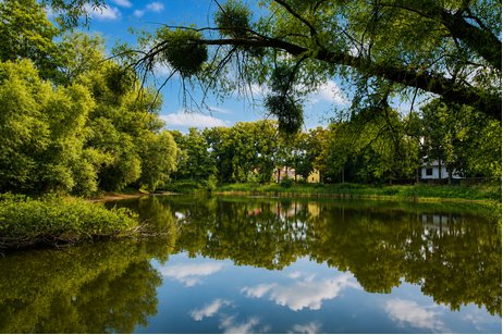 Hochkarätige Baugrundstücke in der Böcklinstraße direkt am Lindenweiher und im Herzen von Finkenkrug