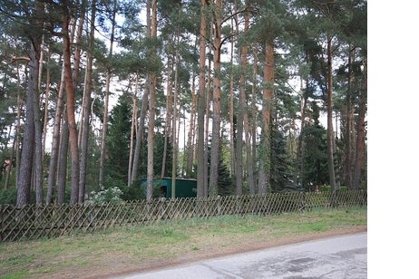 Idyllisches Grundstück in bester Lage von Schönwalde
