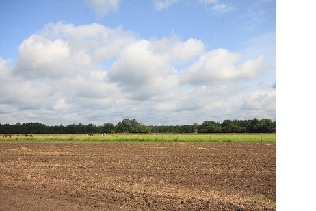 Schönes Baugrundstück mit sonniger Süd/West-Ausrichtung in Toplage von Falkensee-Finkenkrug