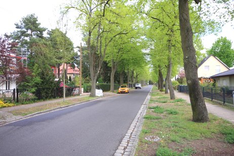 Sonniges Südgrundstück in schöner Baumallee - Falkensee-Falkenhainer Villenlage