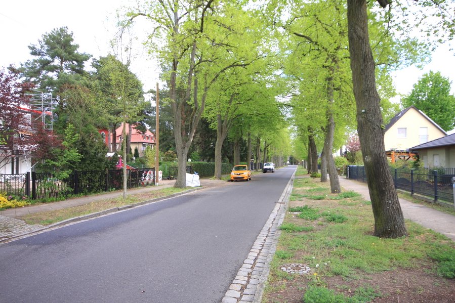 Sonniges Südgrundstück in schöner Baumallee - Falkensee-Falkenhainer Villenlage