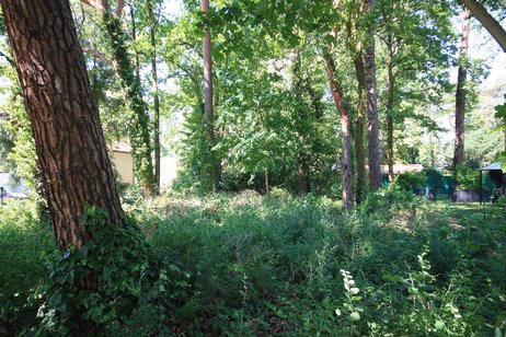 Traumgrundstück in Toplage von Falkensee-Falkenhain in den beliebten Flussviertel