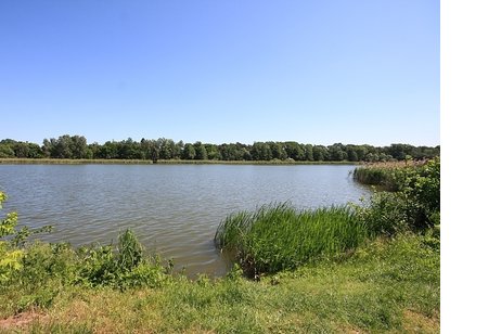 Traumgrundstück mit sonniger Süd/West-Ausrichtung in der beliebten Wohnlage Kolonie am See
