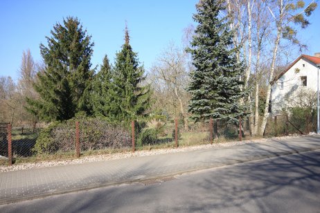 Unbebautes, großzügiges Baugrundstück in traumhafter Lage von Dallgow-Döberitz OT Rohrbeck